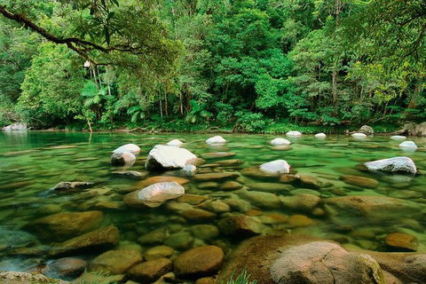 SHUTTLE - Mossman Gorge & Cooya Beach From Port Douglas (Return Transfer) - Holiday Great Ocean Road 3