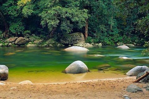 SHUTTLE - Mossman Gorge & Cooya Beach From Port Douglas (Return Transfer) - Holiday Great Ocean Road 1