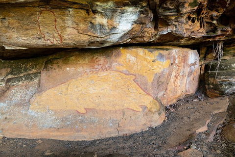 Half Day Aboriginal Rock Art Experience In Queensland - Holiday Great Ocean Road 3