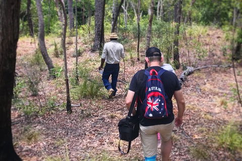 Half Day Aboriginal Rock Art Experience In Queensland - Holiday Great Ocean Road 5