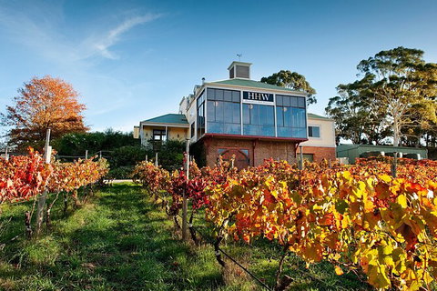 Adelaide Hills Food, Wine, Cheese, & Chocolate - Private Day Tour - Holiday Great Ocean Road 7