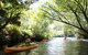Paddle With The Platypus Twilight Kayak Adventure - thumb 0