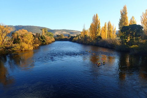 Paddle With The Platypus Twilight Kayak Adventure - Holiday Great Ocean Road 3