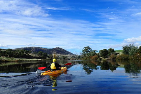 Paddle With The Platypus Twilight Kayak Adventure - Holiday Great Ocean Road 5