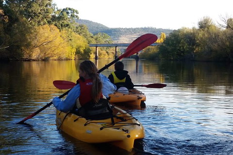 Paddle With The Platypus Twilight Kayak Adventure - Holiday Great Ocean Road 1