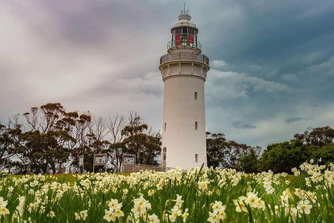 Table Cape Lighthouse Tours - Holiday Great Ocean Road 7
