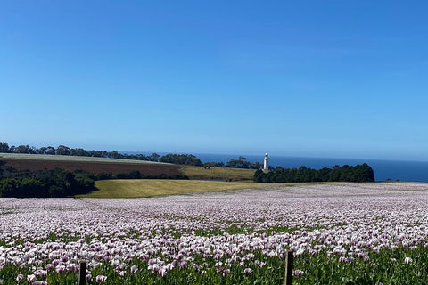Table Cape Lighthouse Tours - Holiday Great Ocean Road 8