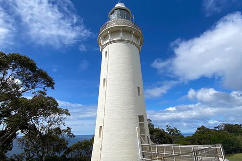 Table Cape Lighthouse Tours - Holiday Great Ocean Road 4
