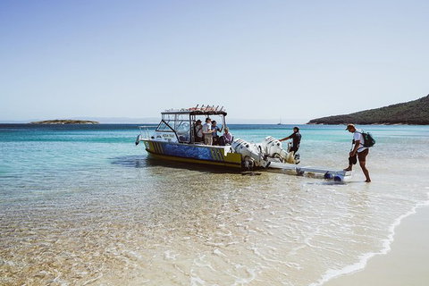 Sea & Explore Wineglass Bay & Freycinet National Park - Cruise & Walk - Holiday Great Ocean Road 3