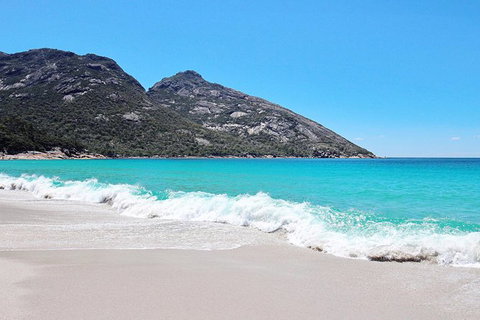 Sea & Explore Wineglass Bay & Freycinet National Park - Cruise & Walk - Holiday Great Ocean Road 4