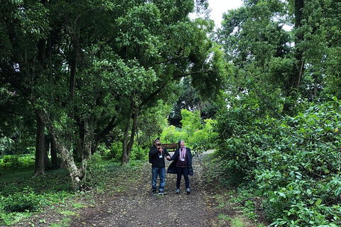 Alices Journeys Guided Walking Tours Of Daylesford - Holiday Great Ocean Road 5