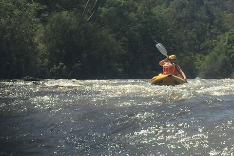 Yarra River Half-Day Rafting Experience - Holiday Great Ocean Road 5