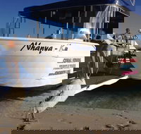 Coral Bay 1-Hour Coral Viewing