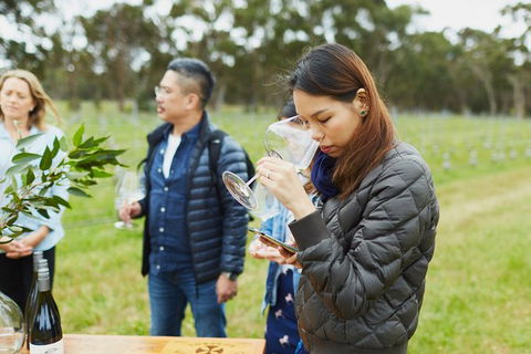 Organic Vineyard/Farm Tour - Holiday Great Ocean Road 1