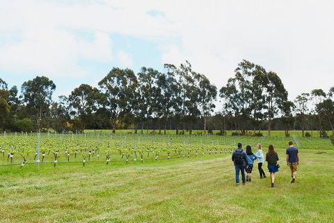 Organic Vineyard/Farm Tour - Holiday Great Ocean Road 7