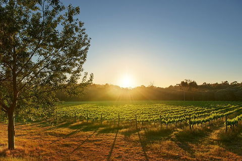 Private Barrel Hall Wine Tasting In The Margaret River Region - Holiday Great Ocean Road 3