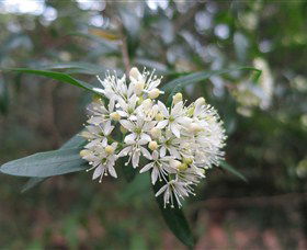 Booderee National Park - Holiday Great Ocean Road 0