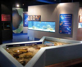 Marine And Freshwater Discovery Centre - Holiday Great Ocean Road 0
