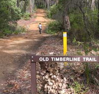 Old Timberline and Sidings Rail Trails - Holiday Great Ocean Road