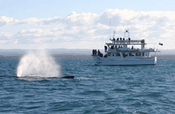 Huskisson NSW Holiday Great Ocean Road