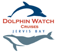 Dolphin Watch Cruises - Holiday Great Ocean Road 2