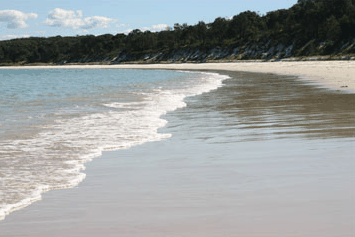 Dolphin Watch Cruises - Holiday Great Ocean Road 5