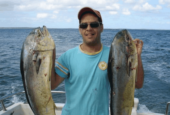 Jervis Bay Fishing and Charters - Holiday Great Ocean Road
