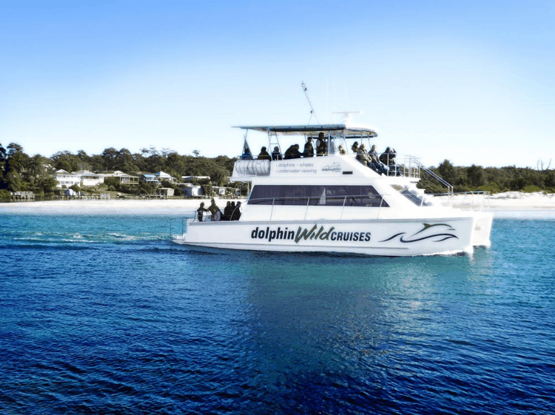 Dolphin Wild Cruises - Holiday Great Ocean Road 1