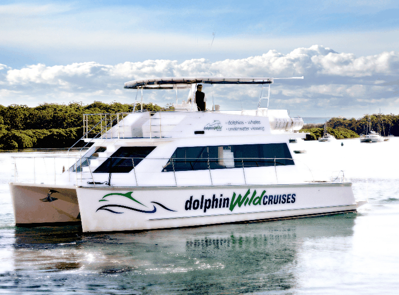 Dolphin Wild Cruises - Holiday Great Ocean Road 2