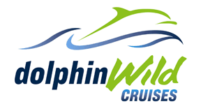 Dolphin Wild Cruises - Holiday Great Ocean Road 4