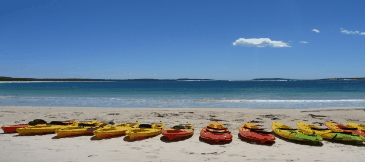 Jervis Bay Kayak & Paddlesports - Holiday Great Ocean Road 5