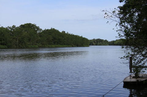 Daintree River Cruise Centre - Holiday Great Ocean Road 2