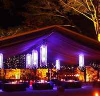 Flames Of The Forest - Holiday Great Ocean Road