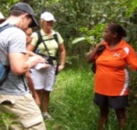 Ingan Tours - Spirit of the Rainforest Tour