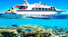 Reef Jet Cruises - Holiday Great Ocean Road 2