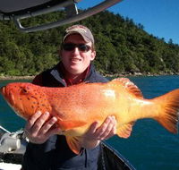 Gone Fishing by Coral Sea Fishing Charters Airlie Beach - Holiday Great Ocean Road