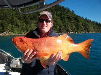 Gone Fishing By Coral Sea Fishing Charters Airlie Beach - Holiday Great Ocean Road 0