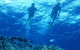 Air Whitsunday Day Tours - thumb 1