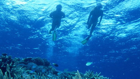 Air Whitsunday Day Tours - Holiday Great Ocean Road 1