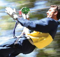 Adventure Parc - Holiday Great Ocean Road