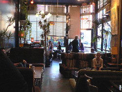 Blackcat - Holiday Great Ocean Road 1