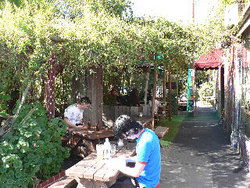 Blackcat - Holiday Great Ocean Road 3