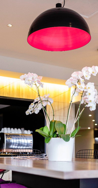 MRepublic Restaurant, Bar And Lounge - Holiday Great Ocean Road 4