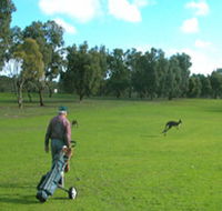 Coffin Bay Golf Club - Holiday Great Ocean Road