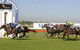 Kembla Grange Racecourse - Illawarra Turf Club - thumb 0