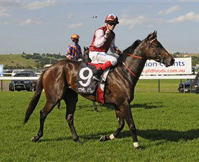 Kembla Grange Racecourse - Illawarra Turf Club - Holiday Great Ocean Road 2