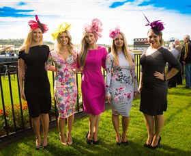 Kembla Grange Racecourse - Illawarra Turf Club - Holiday Great Ocean Road 4