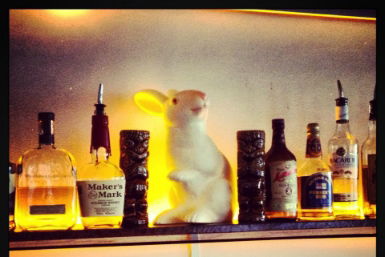 Hairy Canary - Holiday Great Ocean Road 0