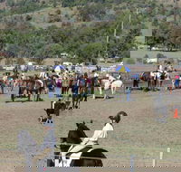Gresford Agricultural Show - Holiday Great Ocean Road