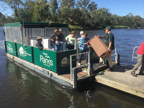 Herring Island Summer Arts Festival - Holiday Great Ocean Road 1